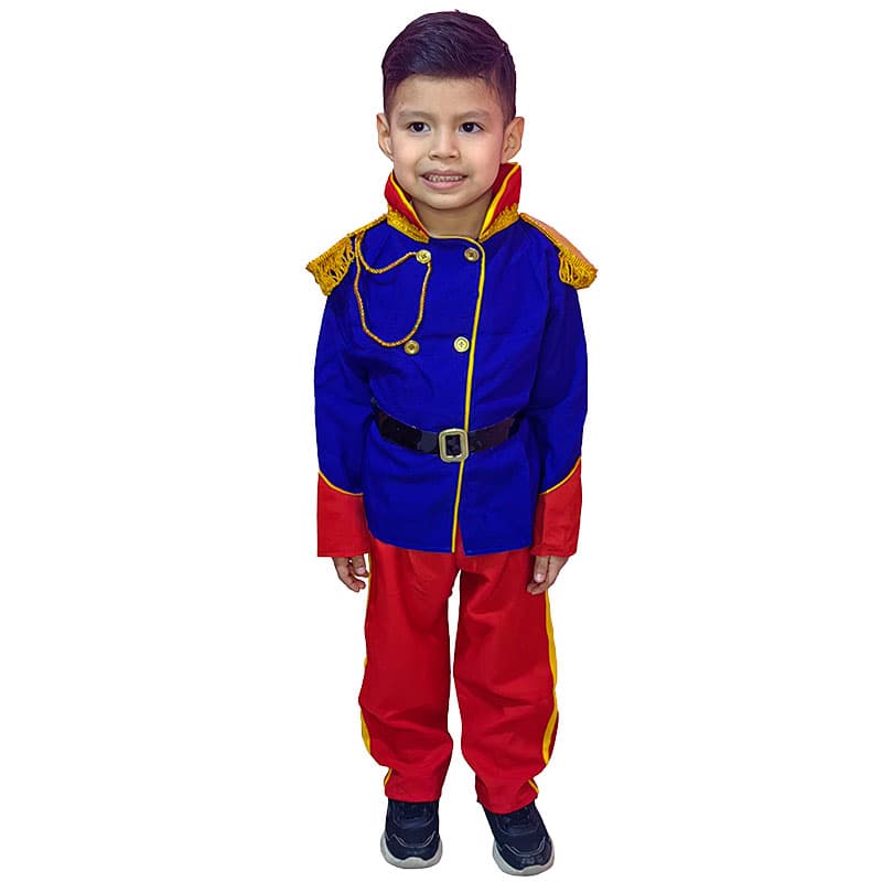 Coronel Francisco Bolognesi para niño